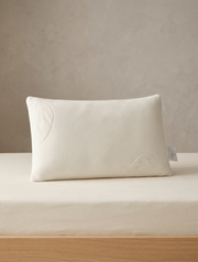 ALMOHADA VISCO VIAJE COPOS